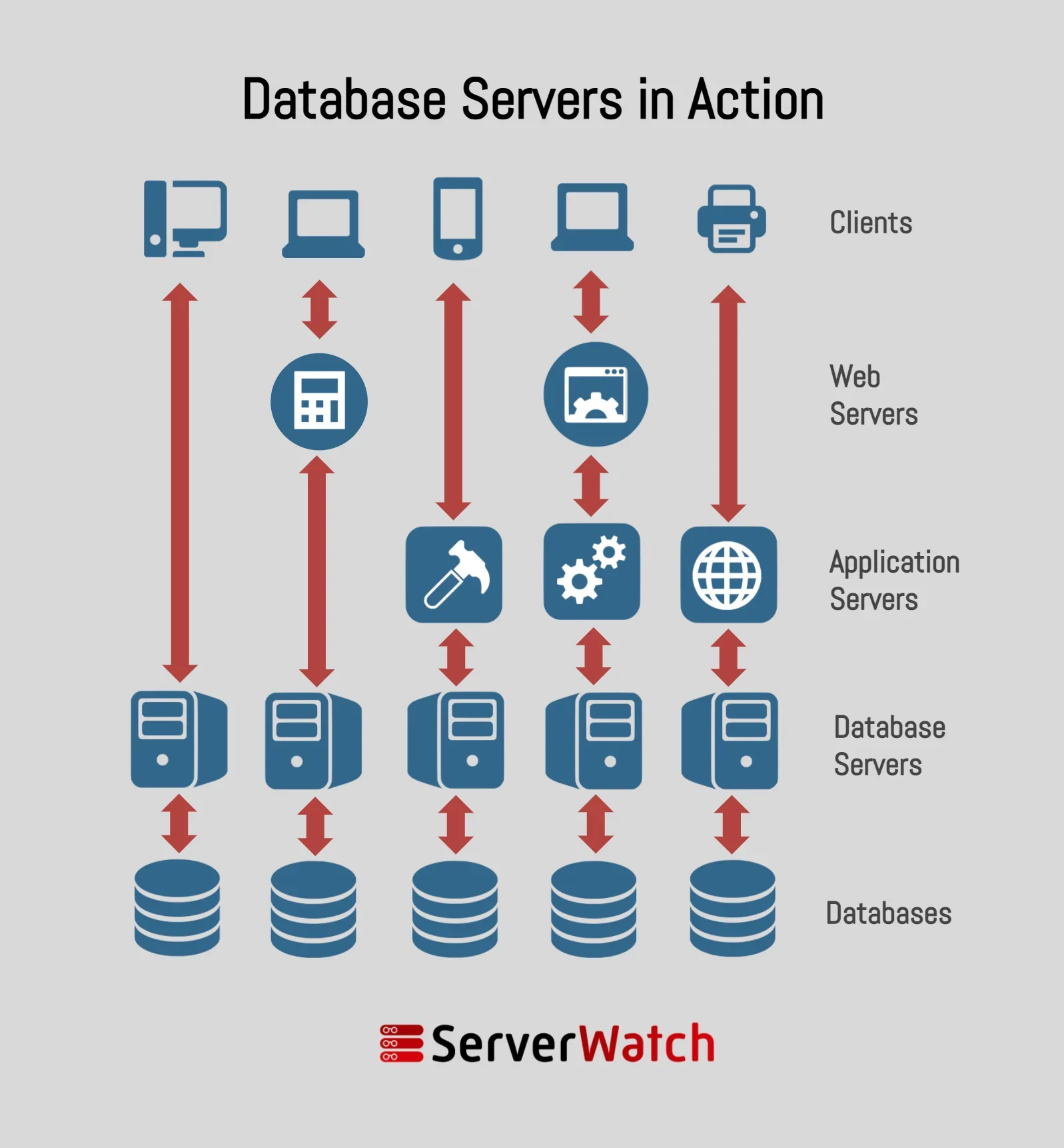 A graphic image showing how databases and database servers deliver resources to client devices, sometimes through intermediaries like web servers and applications servers. Designed by Sam Ingalls.